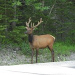 Most Memorable Golf Holiday with the Canadian Rockies Golf Vacation